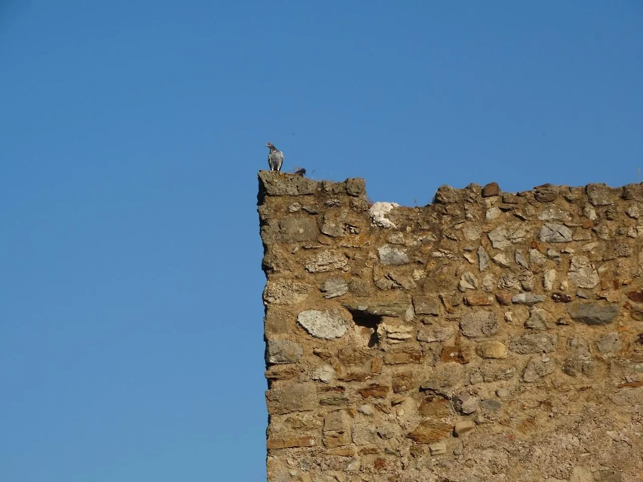 Sa Mendua E Sa Pruna Casa Al Mare Iglesias Holiday home